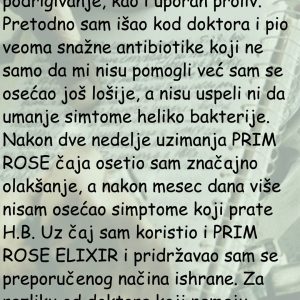 Prim Rose čaj za heliko bakteriju - Prirodno rešenje koje je pomoglo mnogima